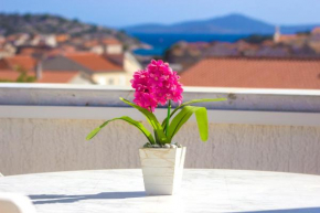 Apartmani Alaga
